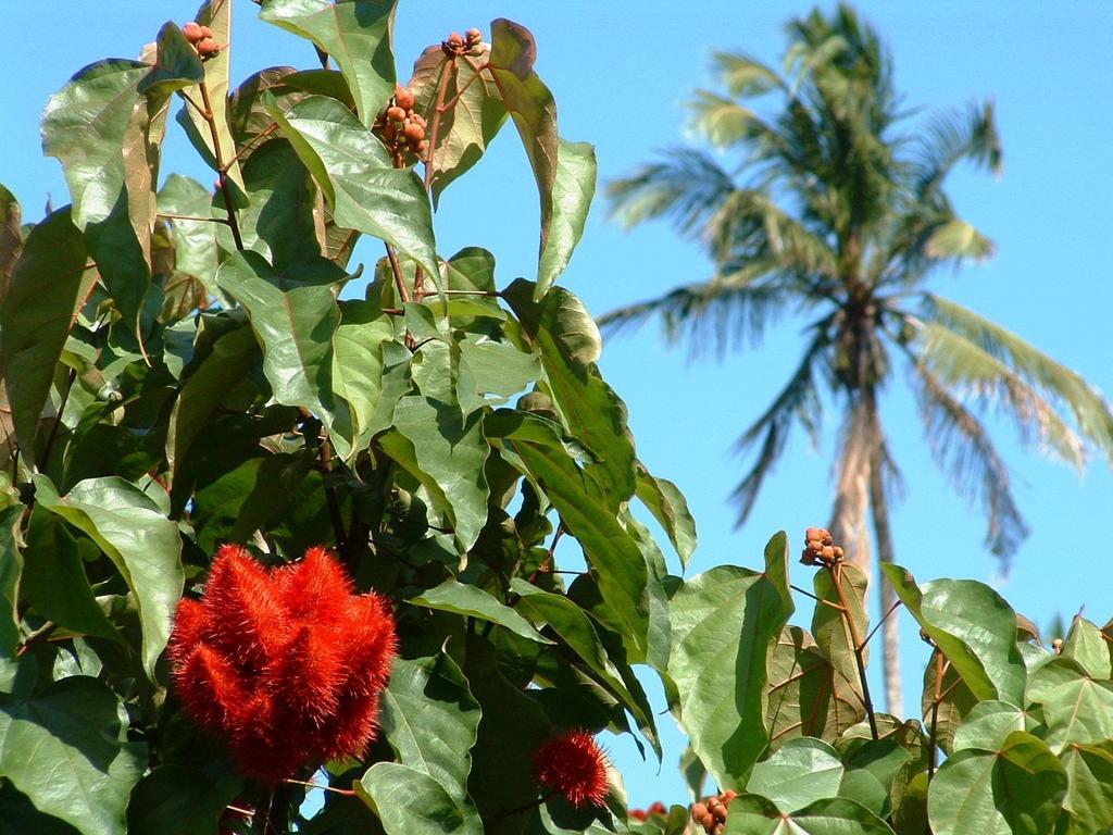 Princess Salme Inn Zanzibár Kültér fotó